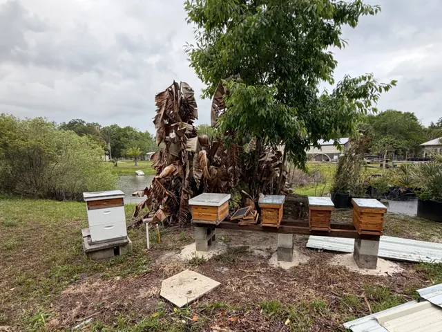 Oak Hill, FL